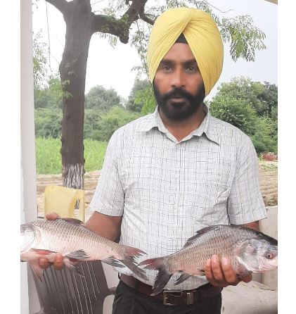 naidunia_image